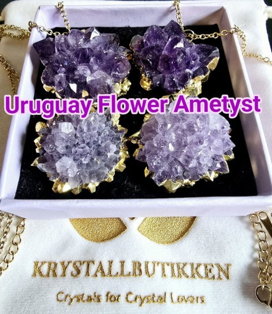 Kampanje / Supervakre Uruguay Flower Ametyst kjeder, Gold Electroplated