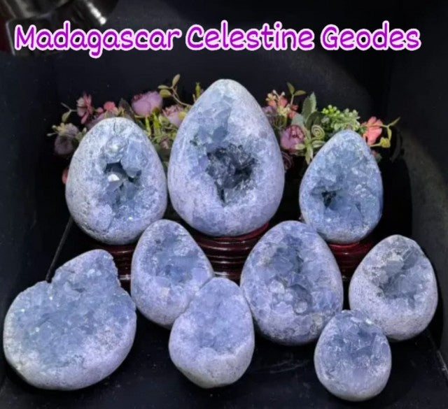 Flotte Madagascar Celestine Geode Cluster EGGs med wooden stand .. Ca. 10 - 15cm, 300 - 500gram