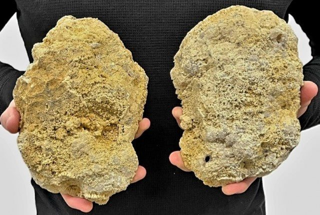 XLarge Sparkly Coconut White Quartz Marocco Geode ( par ), ca. 3500gram, 20x15cm inkl. 2 stk. stativer