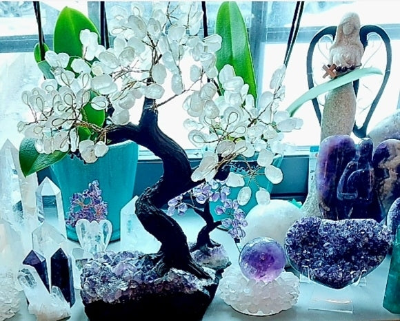 Vakkert og eksklusivt XL Feng Shui - Bonsai Brazilian Lykketre m/ Clear Quartz og Ametyst Clusterfot, ca. 35cm