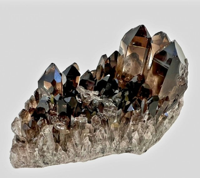 Eksklusive Brazilian AAA + High Quality Smoky Quartz Cluster 500 - 600gram