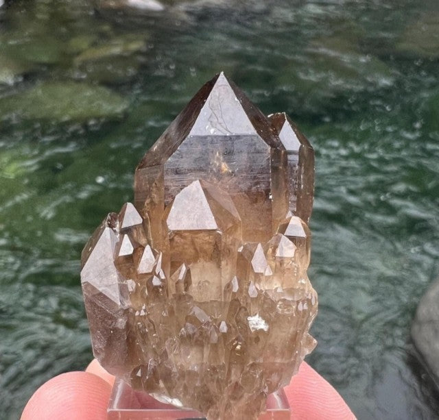 Golden Genuine Kundalini Citrine Crystal • 44 Grams • UNHEATED & UNTREATED Natural Citrine Cathedral