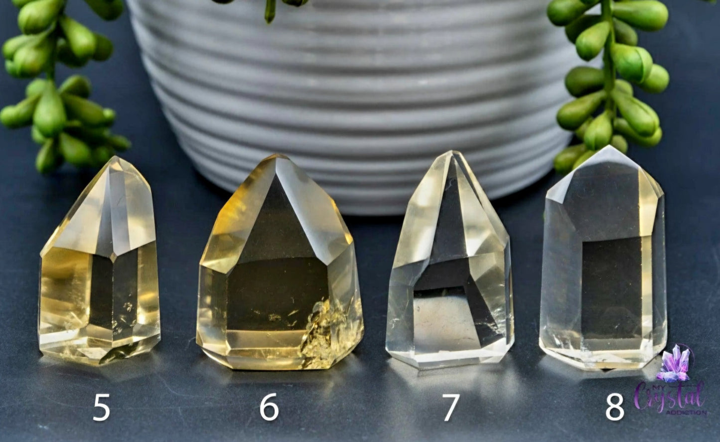 Vakre, High Quality natural Brazilian Citrine Tårnkrystaller ( 50 - 60mm )