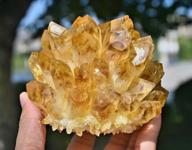 Medium Klar Gul mineralkvarts Cluster krystalldekorasjon, ca. 500gram