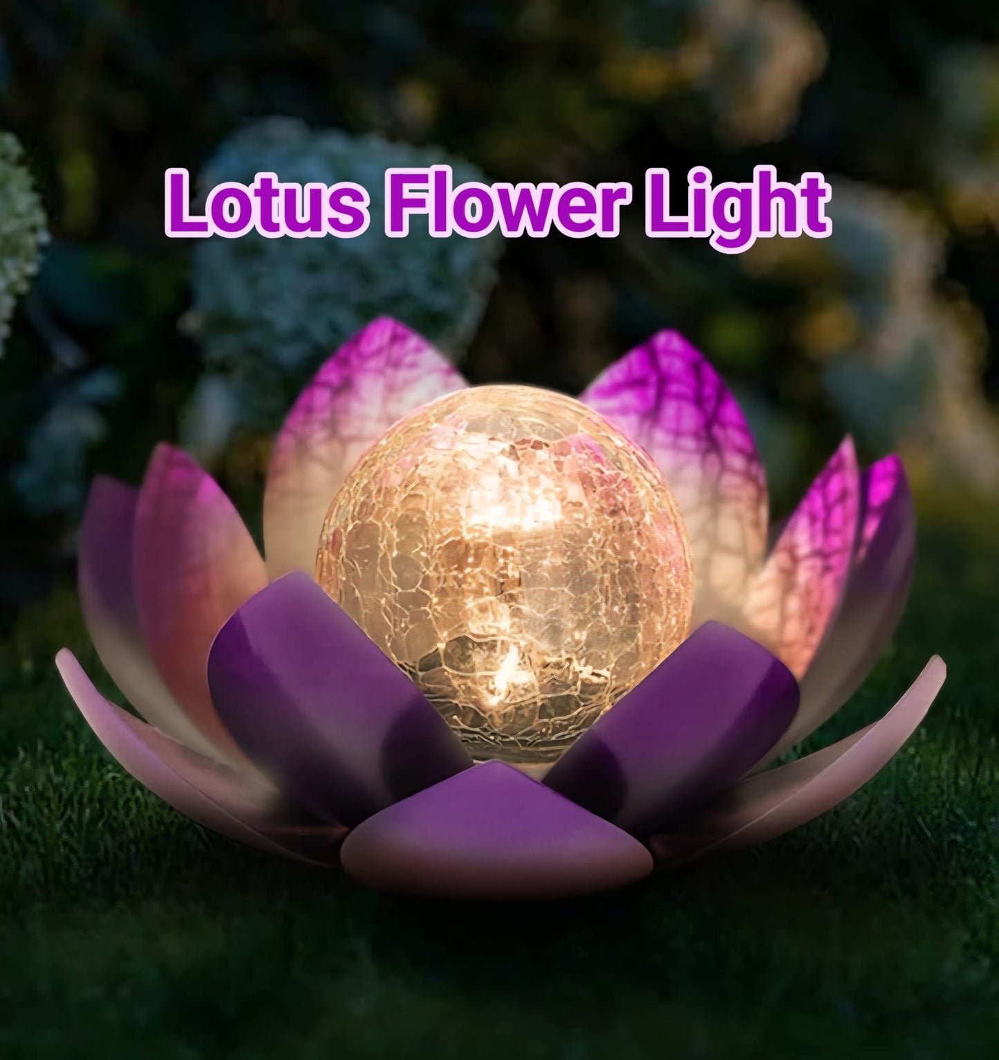 LOTUS Solar Metal Decoration Lamp w/ "Crackle Globe Glass", Purple Color - 25x25cm