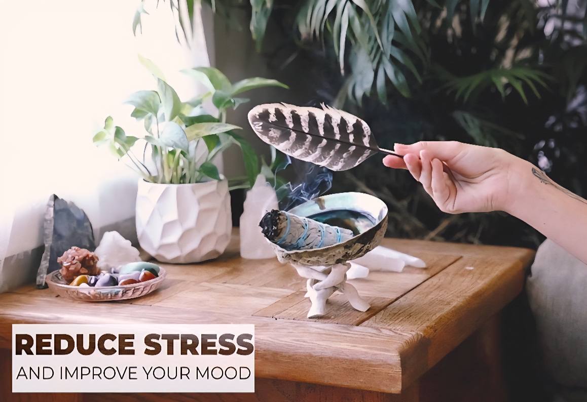 White Sage Smudge Kit with Feather, 2 Sage Bundles, 3 Palo Santo Sticks, Abalone Shell + Stand | Home Smoke Cleanse Kit | House Cleansing