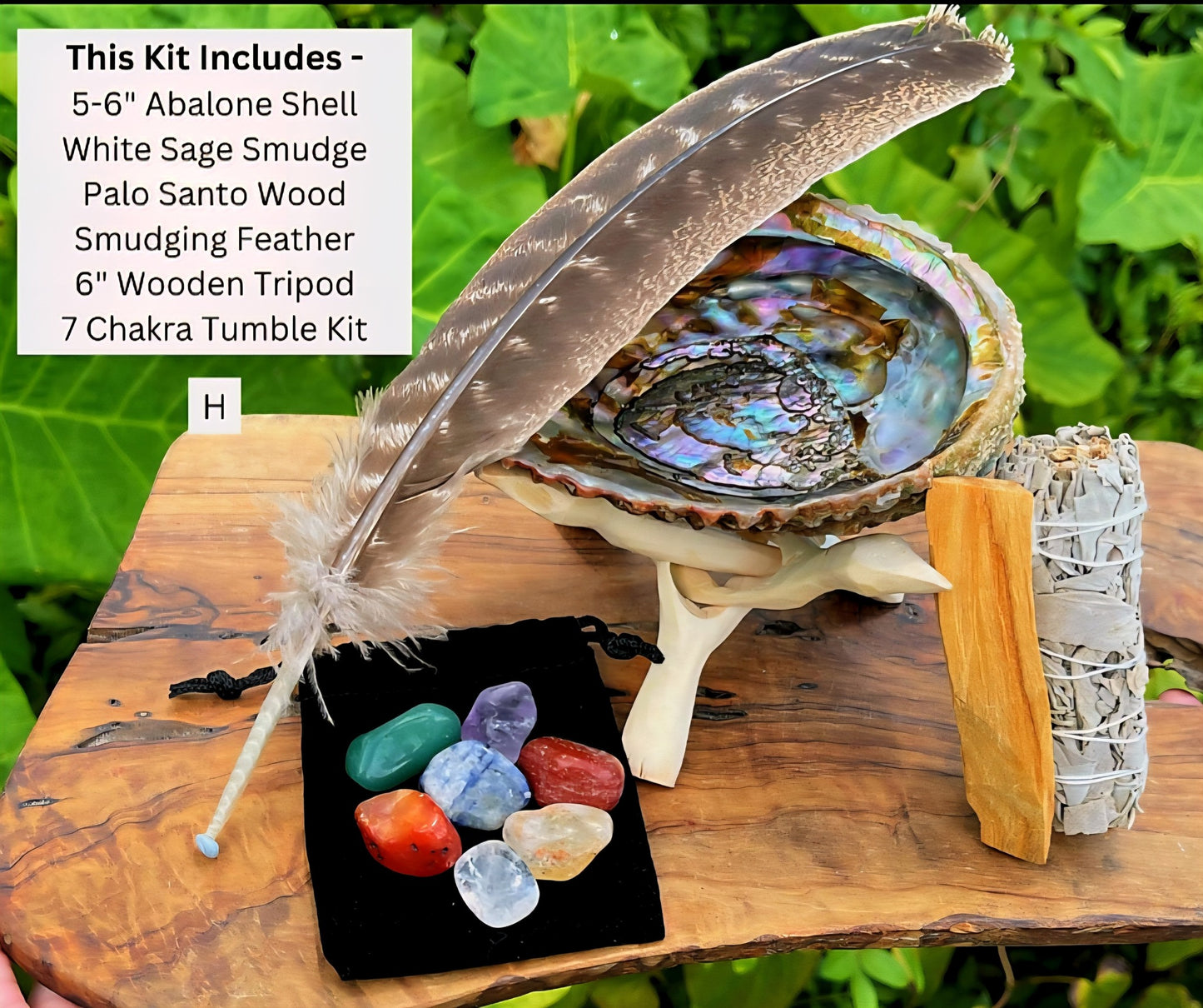 2025 White Sage Smudge Abalone Kit - Big Abalone Shell, White Sage Smudge Stick, Tripod Stand, Palo Santo Stick, 7 Chakra Stone Set + Smudging Directions