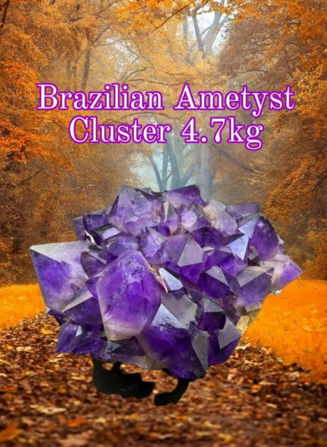 Supervakre BIG XXL Brazilian Ametyst Cluster ca. 4.7kg - 20x16x9cm