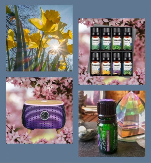 MÅNEDENS SUPERDEAL / SINGLE RETRO DIFFUSERPACK (1 stk Sort Retro Diffuser + 8 Pack Essensielle Aromaoljer )