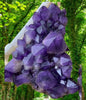 Supervakre BIG XXL Brazilian Ametyst Cluster 6.5kg - ca. 25x17x8cm