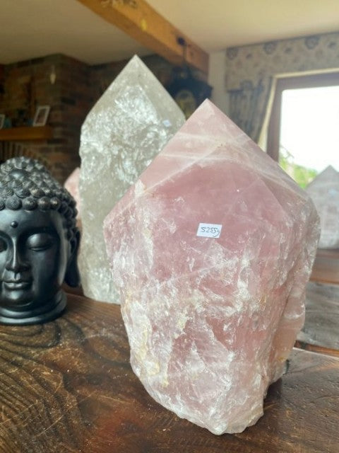 HUGE Extra Large Tall Premium Rose Quartz Pink Crystal Quartz Point 5 - 6Kg, 20 - 25cm