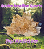 Gigantic Golden Brazilian Quartz Cluster 7kg - 30x35x20