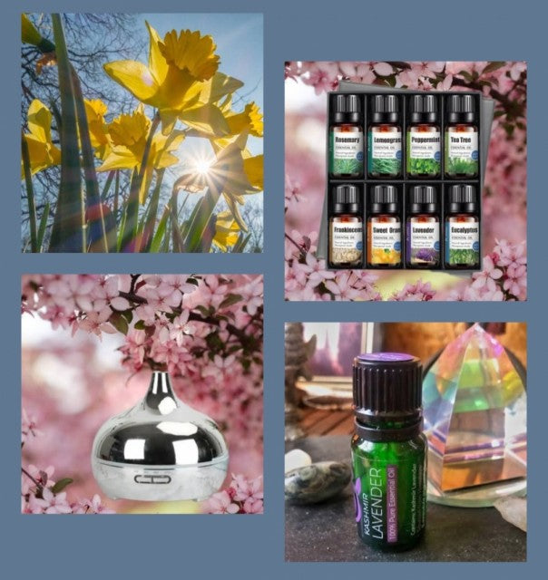 MÅNEDENS SUPERDEAL / SINGLE SILVER ELECTROPLATED DIFFUSERPACK (1 stk Silver diffuser + 8 Pack Essensielle Aromaoljer )