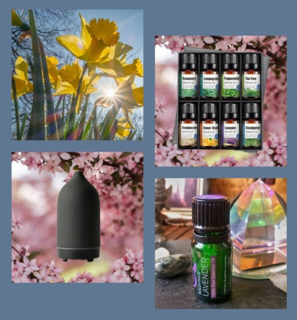 MÅNEDENS SUPERDEAL / SINGLE STONE DIFFUSERPACK (1 stk Sort Steindiffuser + 8 Pack Essensielle Aromaoljer )