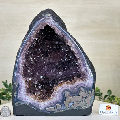 Extra Plus Quality Brazilian Amethyst Cathedral, ca. 6.6kg - 26cm Tall #5601-1508 by Brazil Gems