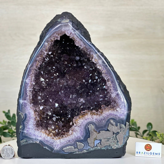 Extra Plus Quality Brazilian Amethyst Cathedral, ca. 6.6kg - 26cm Tall #5601-1508 by Brazil Gems