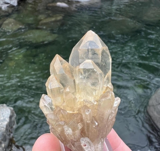 Genuine Kundalini Citrine Crystal • 65 Grams • UNHEATED & UNTREATED Natural Citrine Cathedral