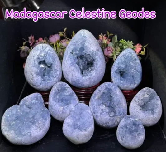 Flotte Madagascar Celestine Geode Cluster EGGs med wooden stand .. Ca. 10 - 15cm,1100 - 1500gram