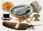 2025 White Sage Smudge Abalone Kit - Big Abalone Shell, White Sage Smudge Stick, Tripod Stand, Palo Santo Stick, 7 Chakra Stone Set + Smudging Directions