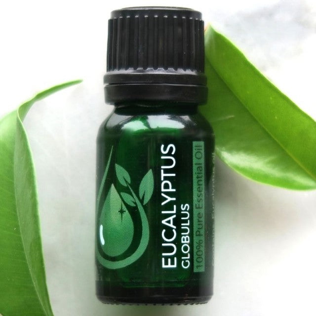 JADE Bloom Eucalyptus Globulus 100% Pure Essential Oil (Therapeutic)