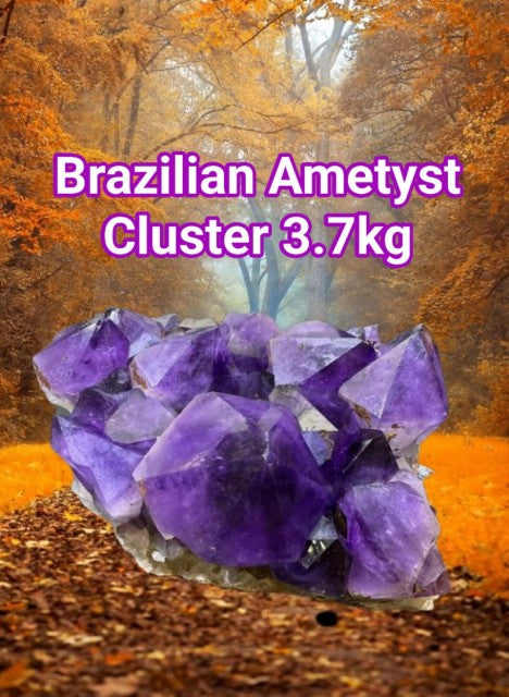 Supervakre BIG XXL Brazilian Ametyst Cluster ca. 3.7kg - 18x11x8cm