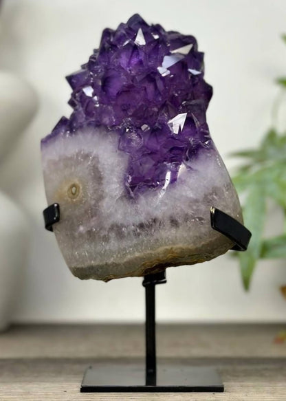 Uruguayan Amethyst Cluster with Large & Shiny Crystals - MWS3308,18.5x10.5cm
