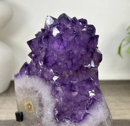 Uruguayan Amethyst Cluster with Large & Shiny Crystals - MWS3308,18.5x10.5cm