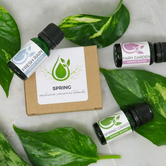 JADE BLOOM / 3 Oil Spring Box Set - Limited Edition