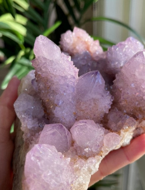 Supervakkert South Africa Ametyst Spirit Quartz Cluster, ca. 980gram  - 17x12x8cm