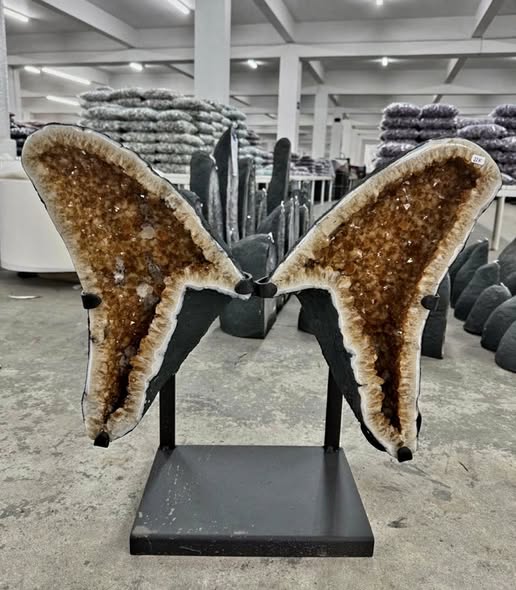 KAMPANJE CITRINE ( Heated ) GEODE BUTTERFLY ANGEL WINGS - Inntil 40% OFF + Fri Frakt - 58x55cm - 22Kg mined in Brazil