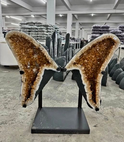 KAMPANJE CITRINE ( Heated ) GEODE BUTTERFLY ANGEL WINGS - Inntil 40% OFF + Fri Frakt - 58x55cm - 22Kg mined in Brazil