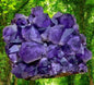 Supervakre BIG XXL Brazilian Ametyst Cluster ca. 5.4kg - 21x16x8cm