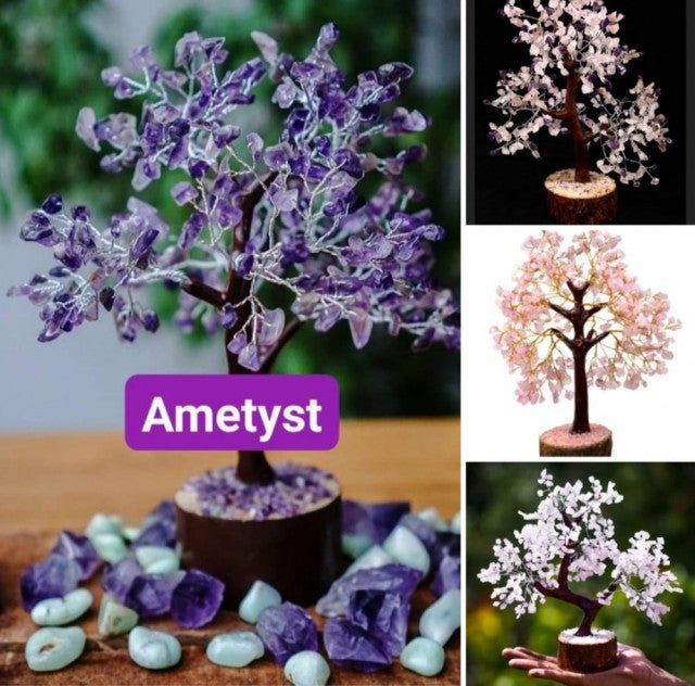 Meaning of Tree of Life/Lucky Tree