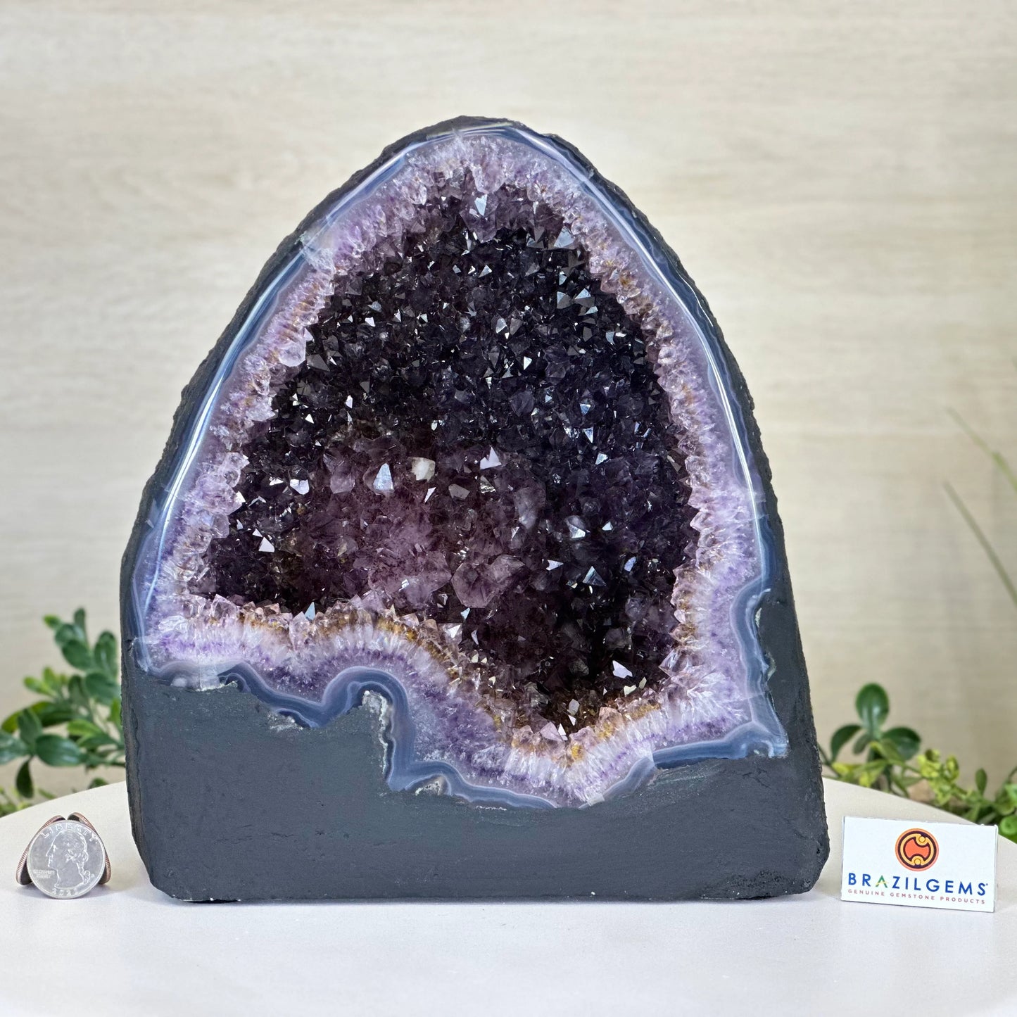 Extra Plus Quality Brazilian Amethyst Cathedral, 9.5kg and 24cm Tall #5601-1520