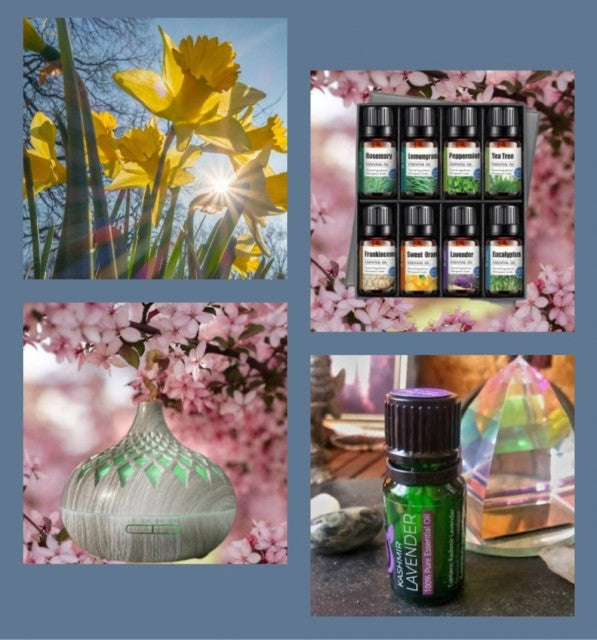 MÅNEDENS SUPERDEAL / SINGLE SPRING LOTUS WOODLOOK DIFFUSERPACK (1 stk Grey/White Trelook Diffuser + 8 Pack Oljer/Blend)