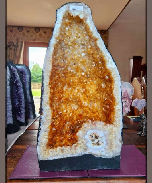 Tall Citrine Geode 443 Crystal Cluster Druzy Premium Grade 29.04kg H53xW29xD20cm