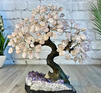 SUPEROFFER 4 / Exclusive Pack  ( XXL Ametyst Cluster + XL Rose Quartz Brazilian Tree )