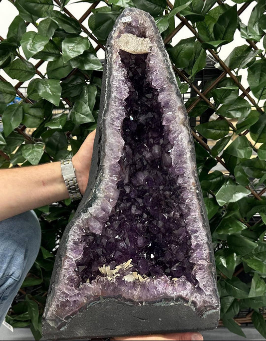 SOMMER KAMPANJE BRAZILIAN HIGH QUALITY AMETYST GEODE - 40% OFF + Fri Frakt - 51.5x25x15cm - 21.5Kg