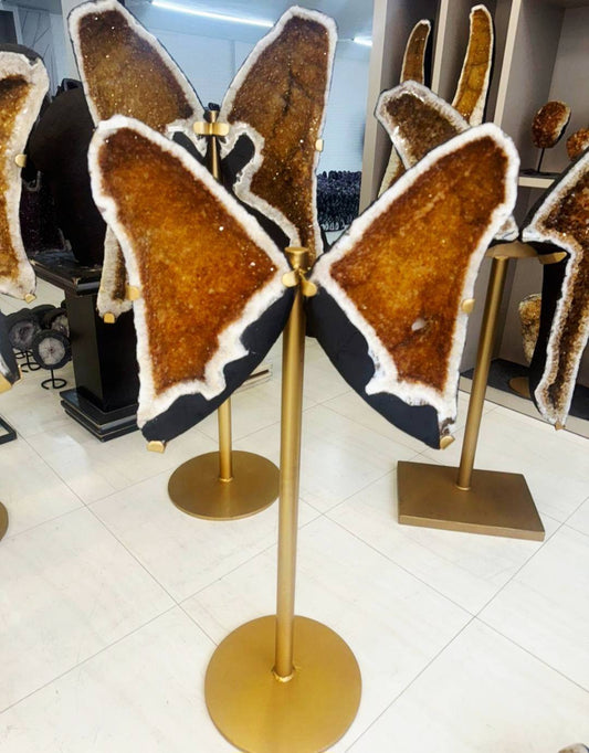 Eksklusiv Brazilian Citrine ( Heated ) Butterfly Angel Wings 69x56cm - 48kg. AAA+ Kvalitet