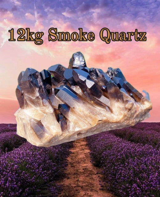 Gigantic Brazilian Dark Smoke Quartz Cluster 12kg - 33x24x16cm
