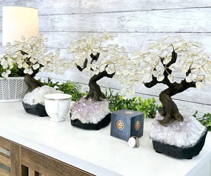 Vakre og eksklusive Feng Shui - Bonsai Brazilian Lykketrær m/ ekte CLEAR QUARTZ krystaller og Ametyst Quartz Clusterfot, ca. 35cm, vekt ca. 5kg, 180 Krystaller, LARGE