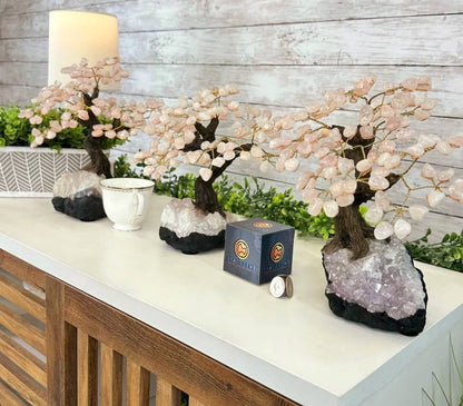 KAMPANJE / Vakkert og eksklusivt Feng Shui - Bonsai ROSE QUARTZ Brazilian Lykketre m/ ekte krystaller og Ametyst Clusterfot, 22cm, vekt ca. 2,5,kg, 120 Krystaller, MEDIUM