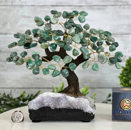 Vakre og eksklusive Feng Shui - Brazilian Lykketrær m/ ekte GREEN QUARTZ krystaller og Ametyst QUARTZ Clusterfot, ca. 35cm - 5kg, LARGE
