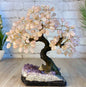 Vakre og eksklusive Feng Shui - Bonsai Brazilian Lykketrær m/ ekte ROSE QUARTZ krystaller og Ametyst Quartz Clusterfot, ca. 35cm, vekt ca. 5kg, 180 Krystaller, LARGE