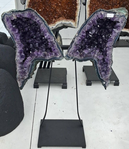 Eksklusiv Brazilian Ametyst Butterfly Angel Wings 75x52cm - 61kg. AAA+ Kvalitet