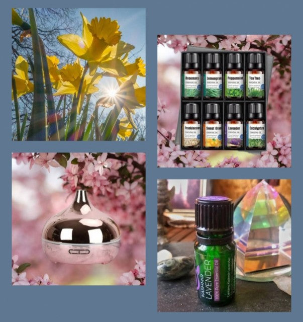 MÅNEDENS SUPERDEAL / SINGLE ROSE ELECTROPLATED DIFFUSERPACK (1 stk Silver diffuser + 8 Pack Essensielle Aromaoljer )