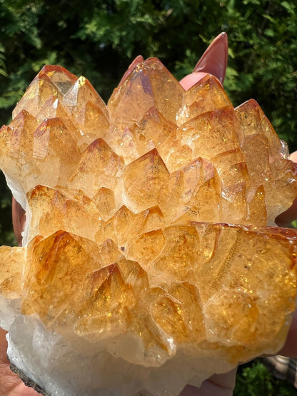 Superflott og vakker Brazilian Citrine ( Heated ) Cluster, ca 500gram