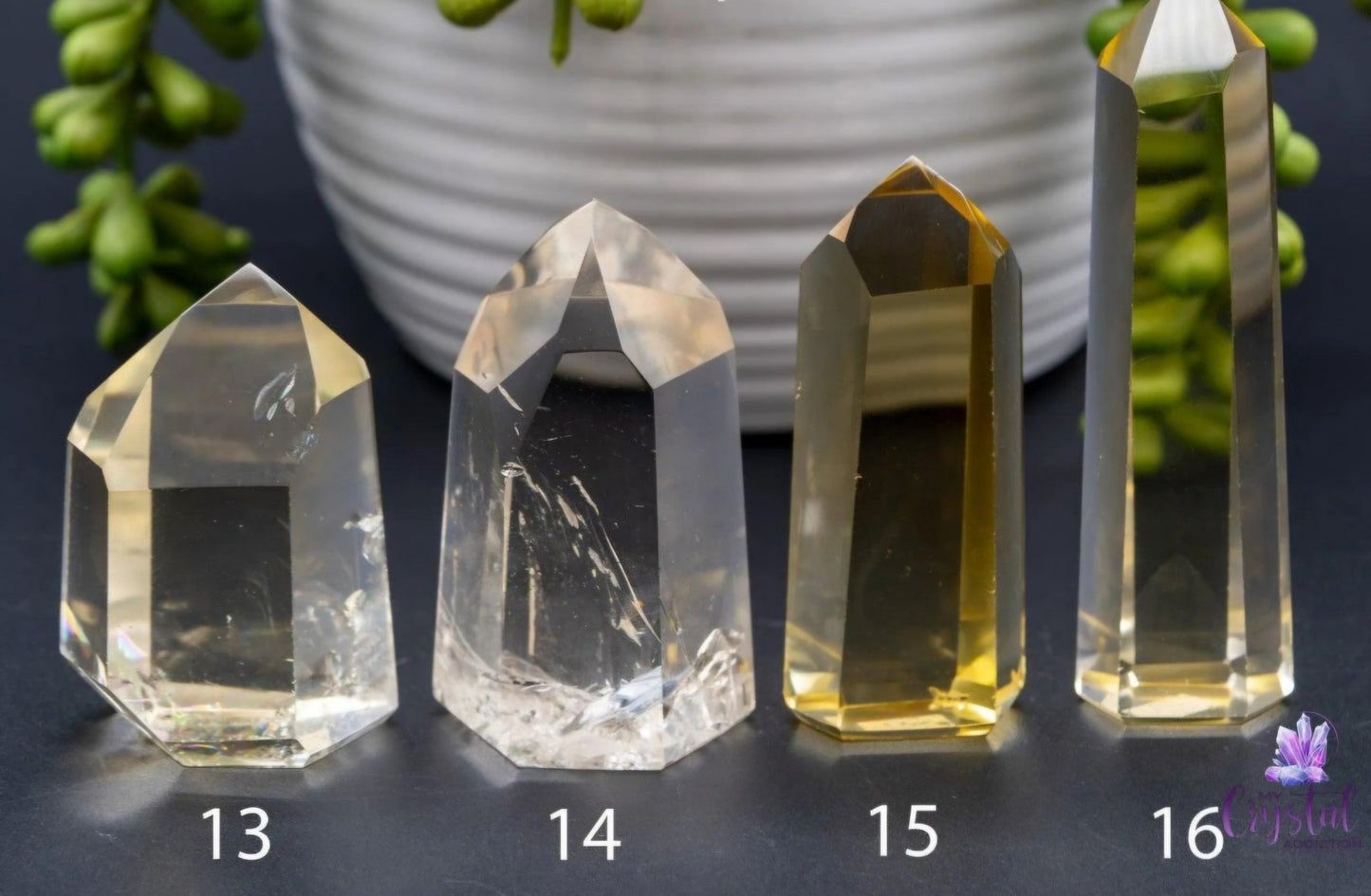 Vakre, High Quality natural Brazilian Citrine Tårnkrystaller ( 70 - 80mm )