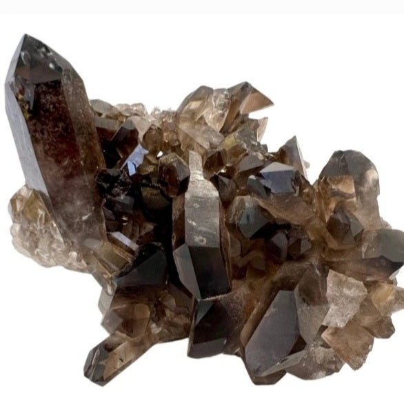 Eksklusive Brazilian AAA + High Quality Smoky Quartz Cluster 400 - 450gram