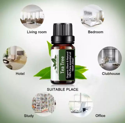 TeaTree 10ml essensiell Aroma Olje for Diffusere